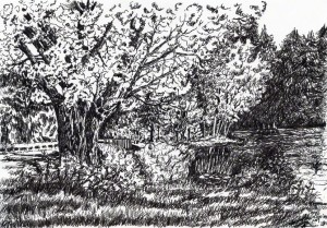 Rutland State Park 72